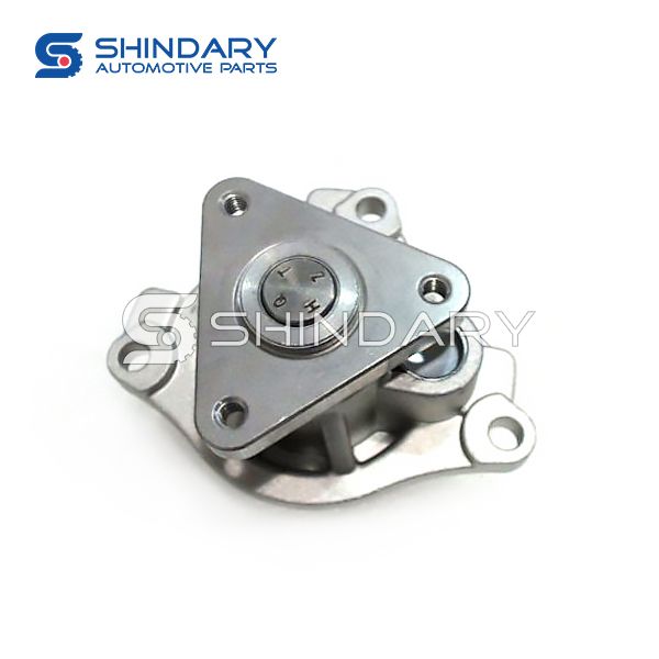 Water pump 1307110001-B11 for ZOTYE T600 