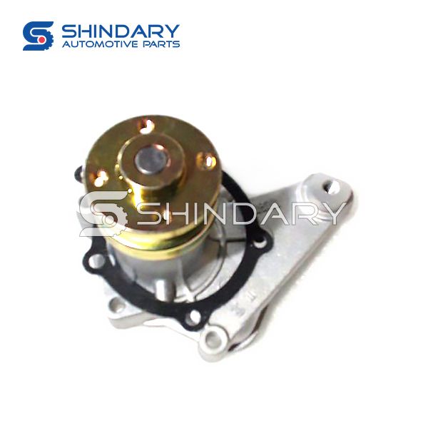 Water pump 4651AE31307010 for SAIC 