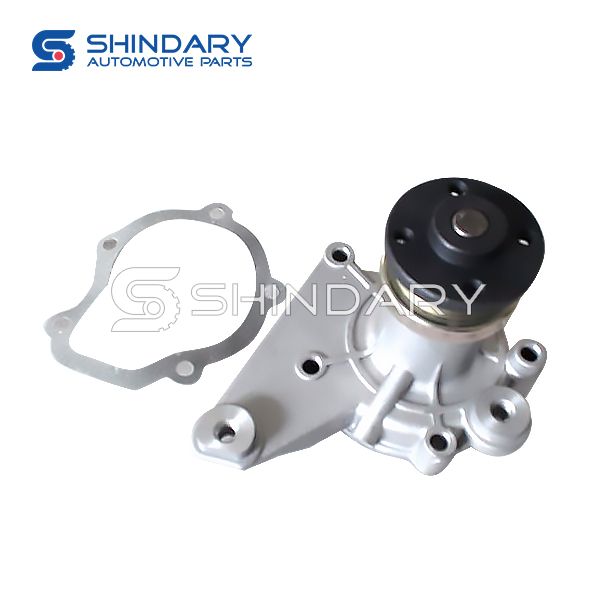 Water pump XY13070100-465Q10 for SHINERAY T20