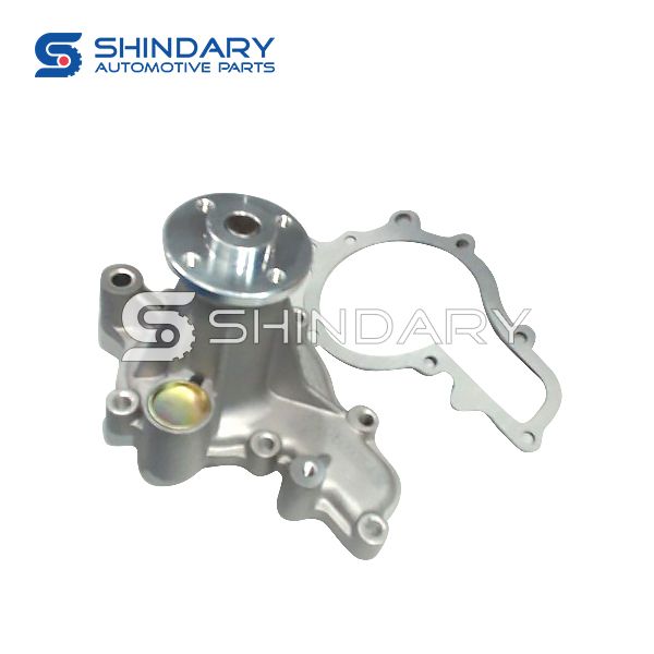 Water pump XY1307011-CG100 for SHINERAY X30