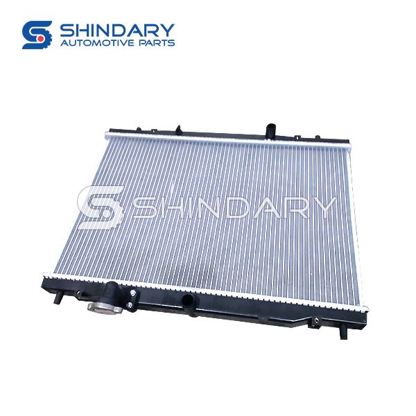 Radiator 1301110-VA01 for DFSK V21
